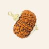 Natural 13 Mukhi/Face Rudraksha (Nepal Origin -Super Collector size)