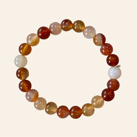 Carnelian Bracelet + 5 Mukhi Rudraksha Free