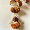 1-15 Mukhi Indra Rudraksha Mala (Nepal Origin- Collector Beads)