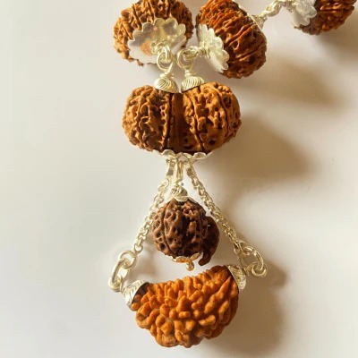 1-15 Mukhi Indra Rudraksha Mala (Nepal Origin- Collector Beads)